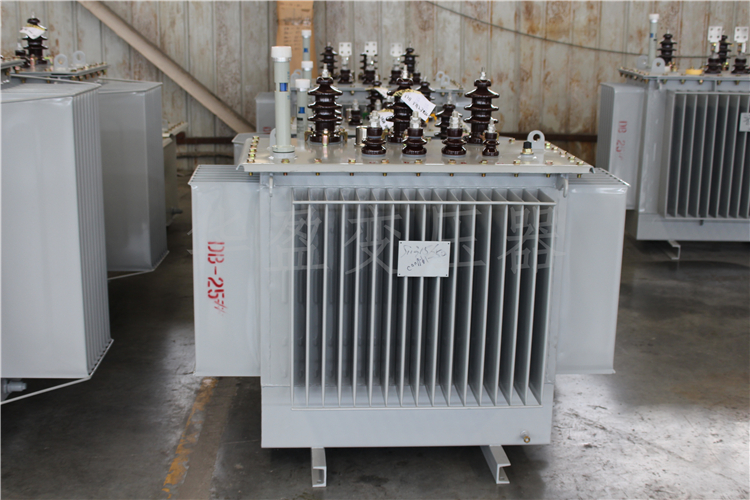 嘉兴S20-800kVA/10kV/0.4kV变压器